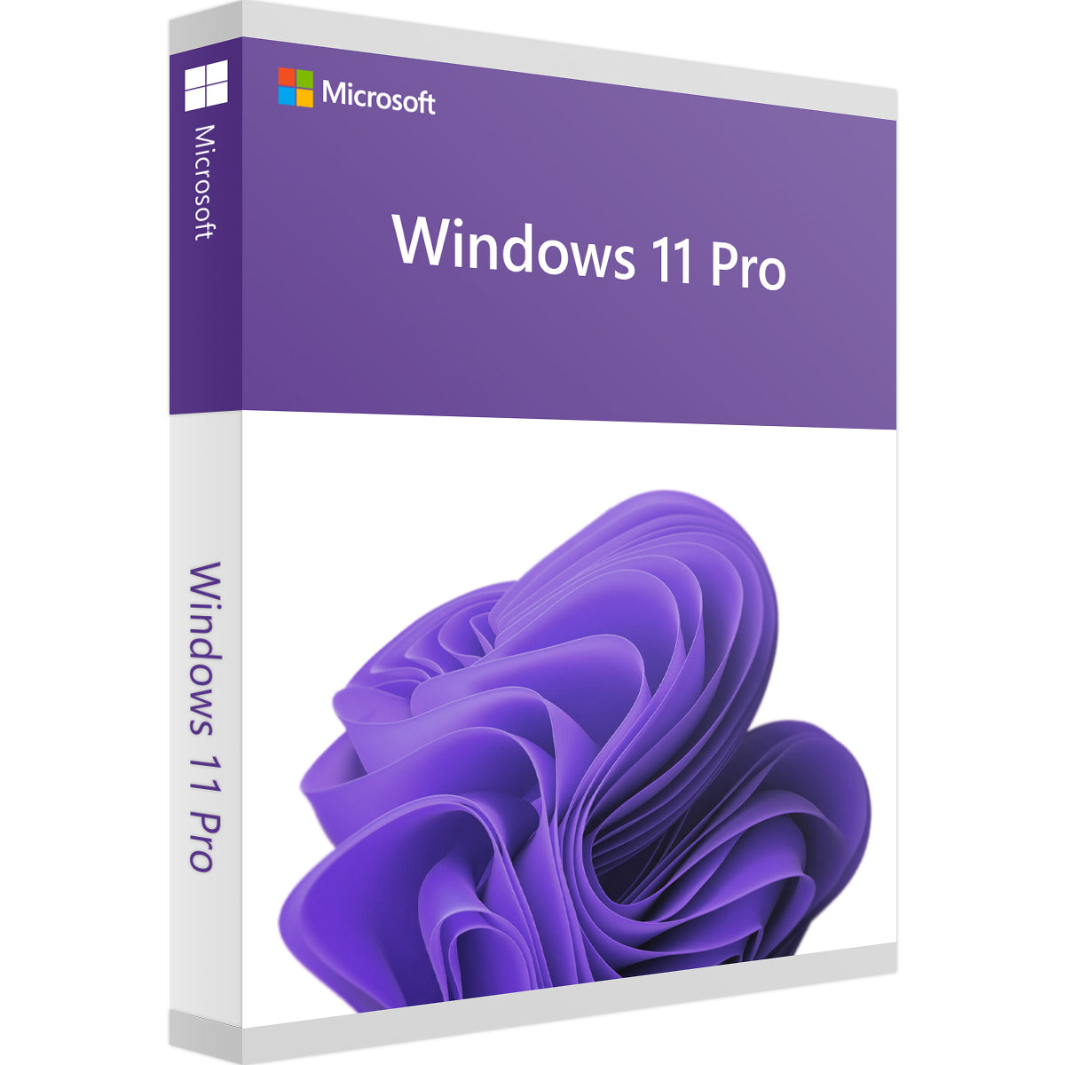 Upgrade Windows 11 Home zu Professional